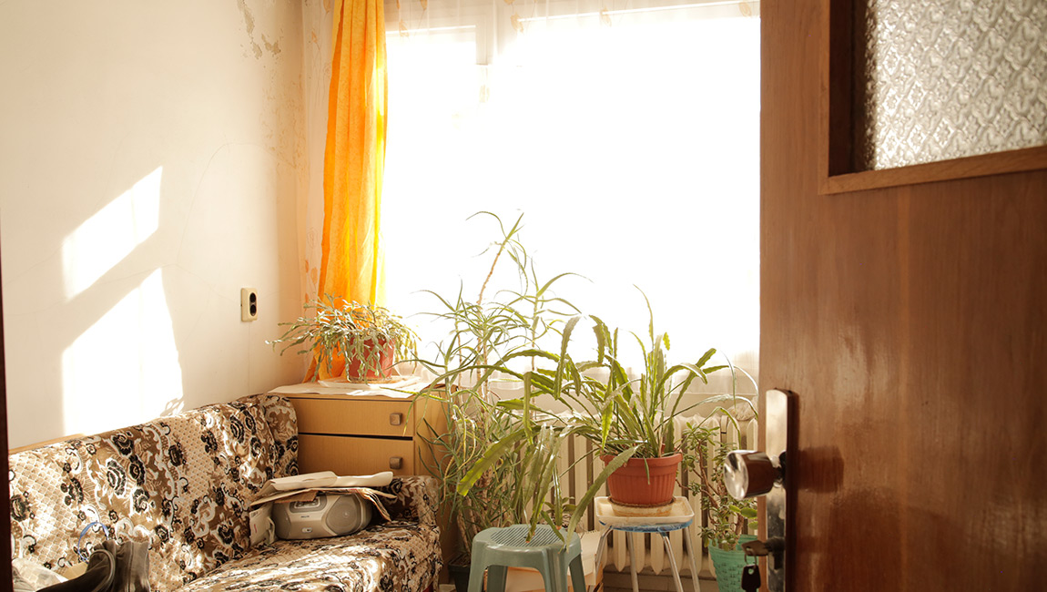 Ep008_GrandmasPlantRoom